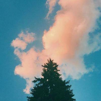 圣物英雄破解版下载